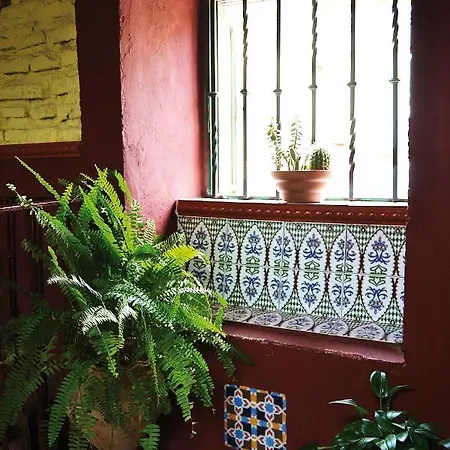 Pensión Hostal-pensión Vergara